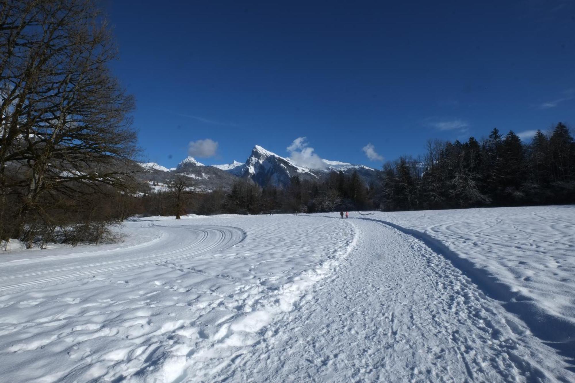 Particulier Loue 2 Appartements Communicants Dans Chalet A Samoens Jusqu A 16 Couchages Exteriér fotografie